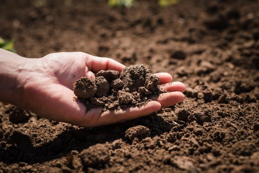 compost met hand